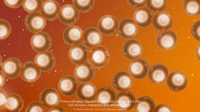 Philips Onco Signal Motion Graphics Cancer Cells 1