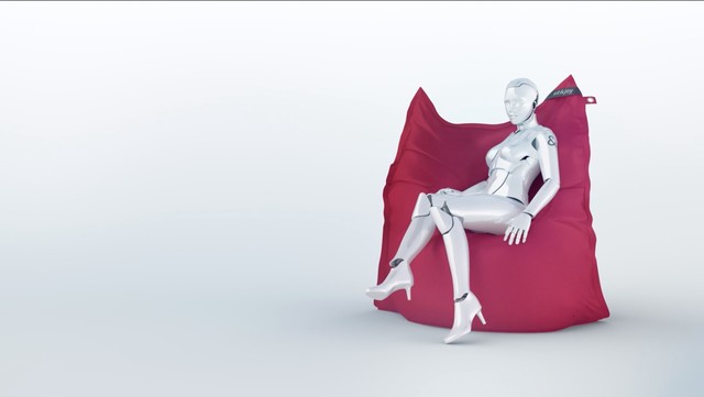 Sit & Joy crash test dummy